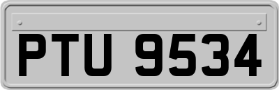 PTU9534