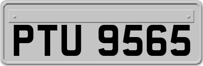 PTU9565