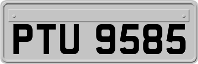 PTU9585