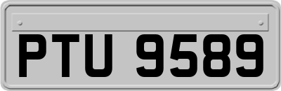 PTU9589