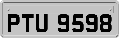 PTU9598