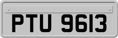 PTU9613