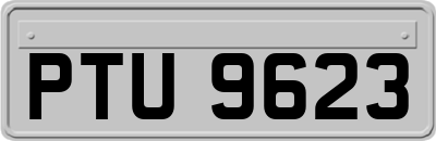 PTU9623