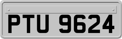 PTU9624