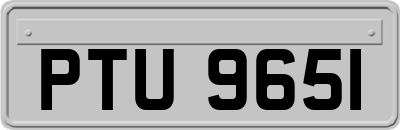 PTU9651