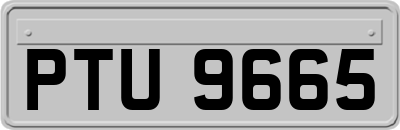 PTU9665