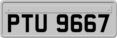 PTU9667