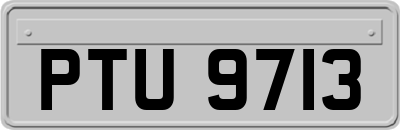 PTU9713