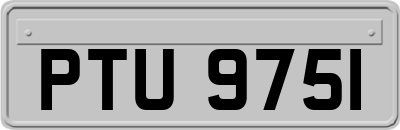 PTU9751