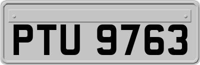 PTU9763