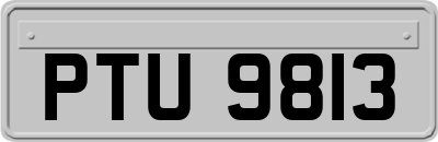 PTU9813