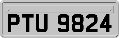 PTU9824