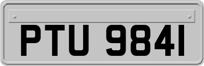 PTU9841