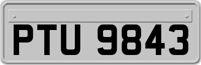 PTU9843