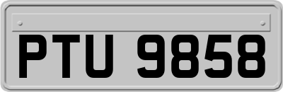 PTU9858