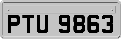 PTU9863