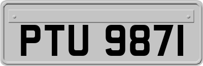 PTU9871