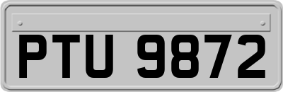 PTU9872