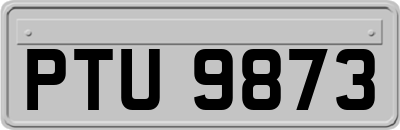 PTU9873