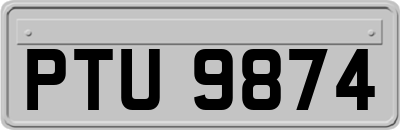 PTU9874