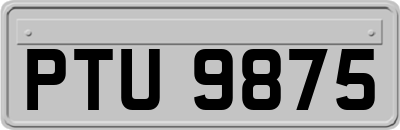 PTU9875