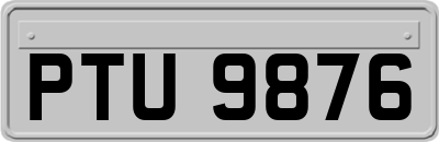 PTU9876