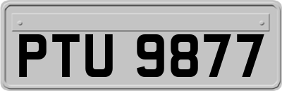 PTU9877