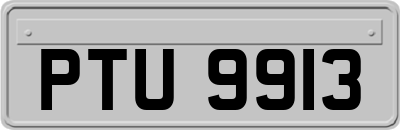 PTU9913