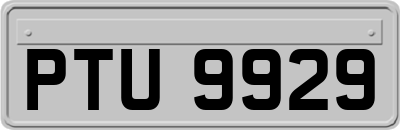 PTU9929