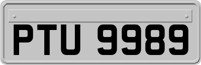 PTU9989