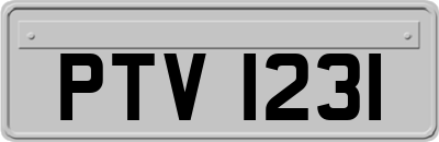 PTV1231