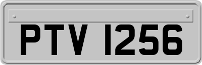 PTV1256