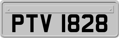 PTV1828