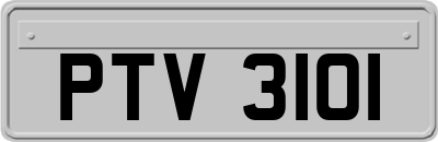 PTV3101