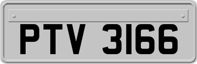 PTV3166