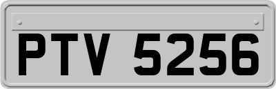 PTV5256