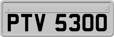 PTV5300