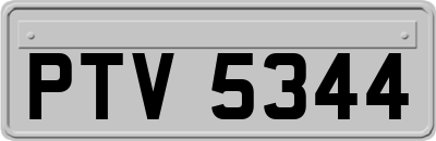 PTV5344