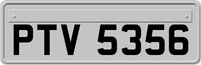 PTV5356