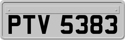 PTV5383