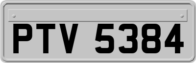 PTV5384