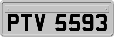 PTV5593