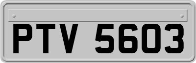 PTV5603