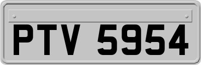 PTV5954