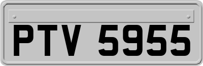 PTV5955