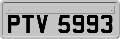 PTV5993