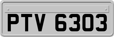 PTV6303