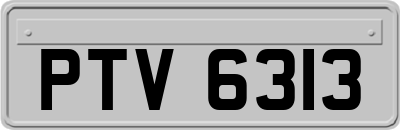 PTV6313