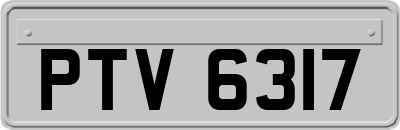 PTV6317