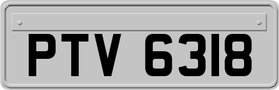 PTV6318